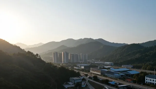 市场定位:品牌策划如何提升直播运营效果